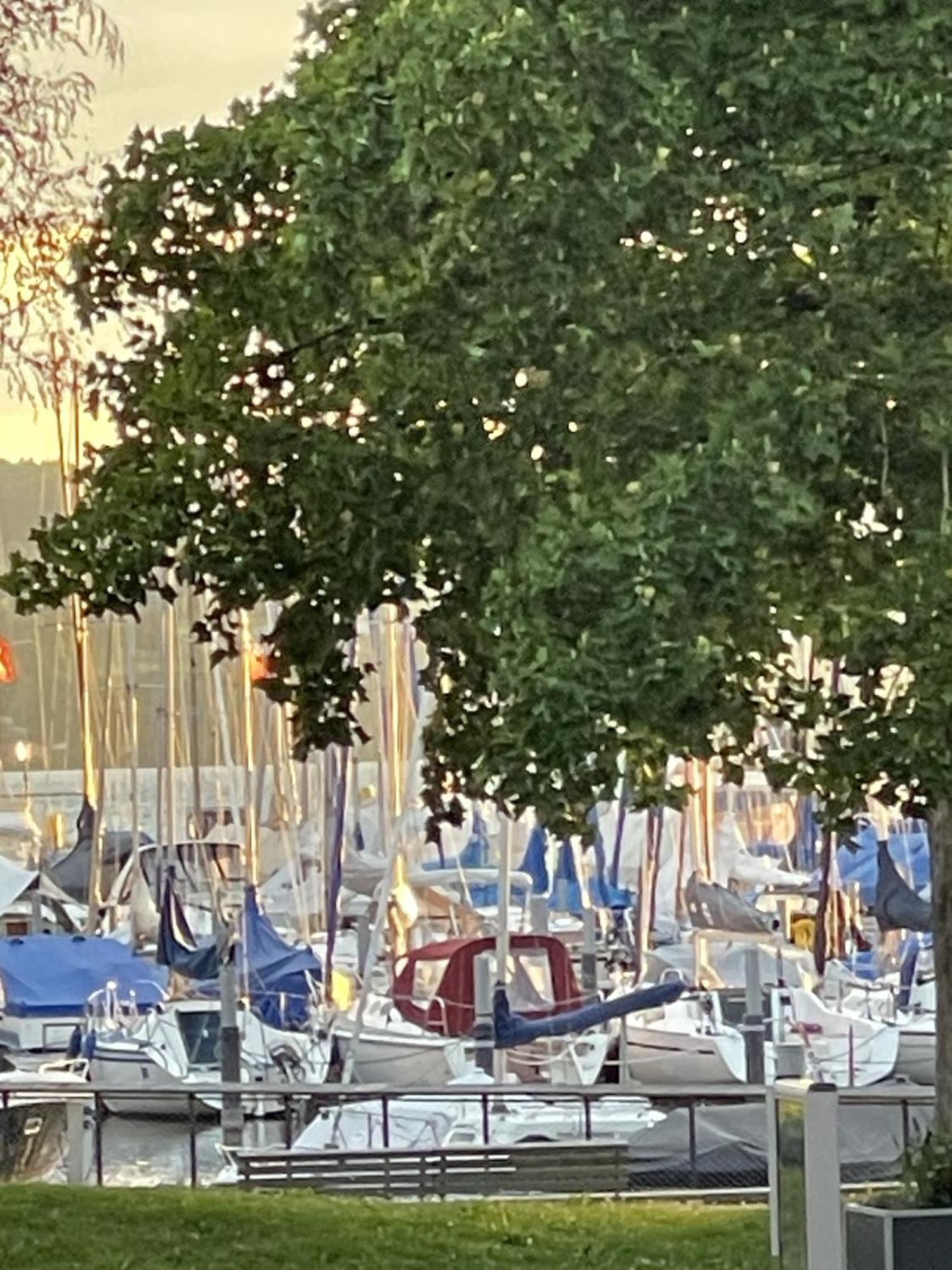 Gaestehaus Maeder Am Hafen ウールディンゲン・ミュールホーフェン エクステリア 写真